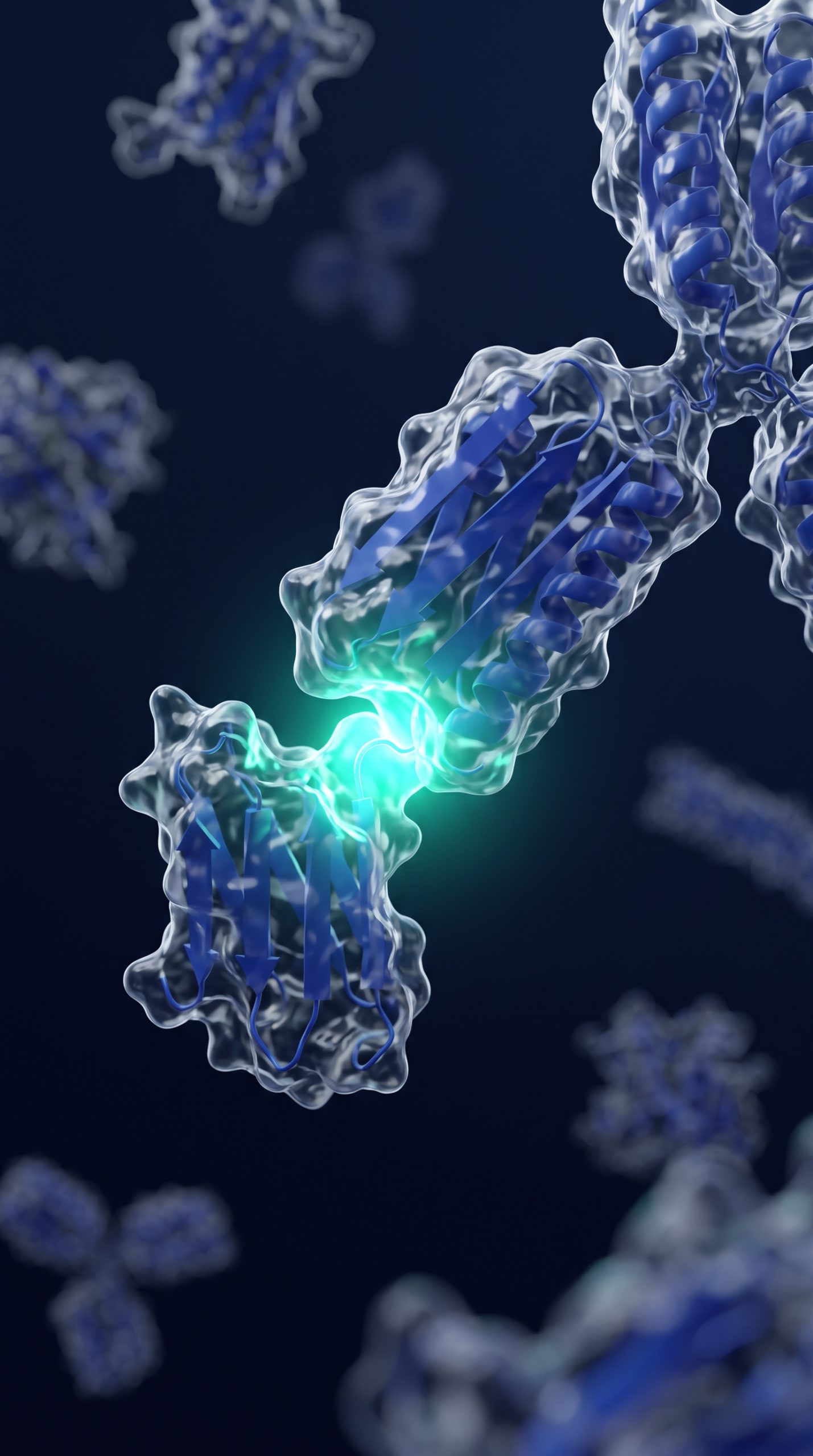Aβ1-42 Monoclonal Antibody Pair Molecular Illustration