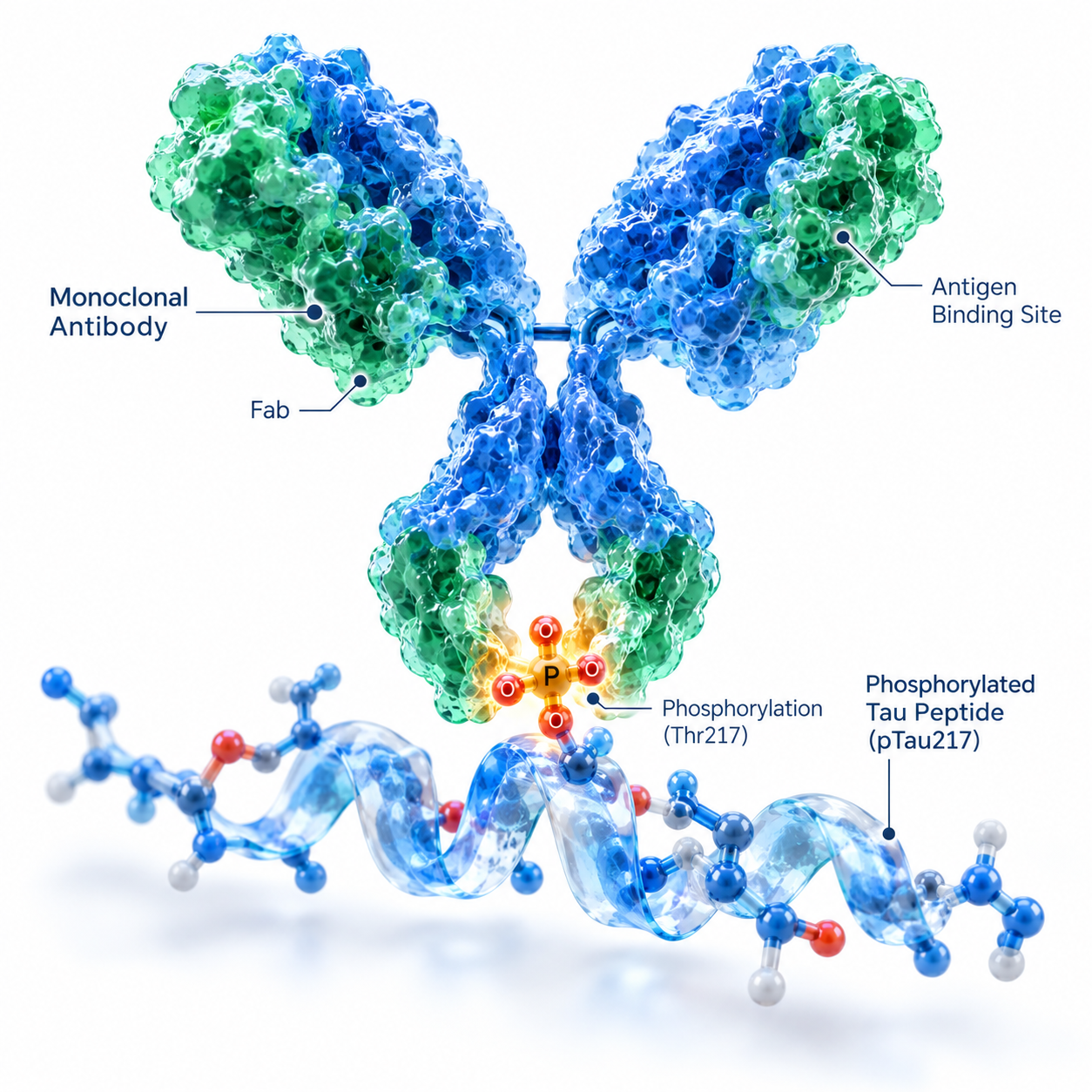 p-Tau217 Monoclonal Antibody Pair