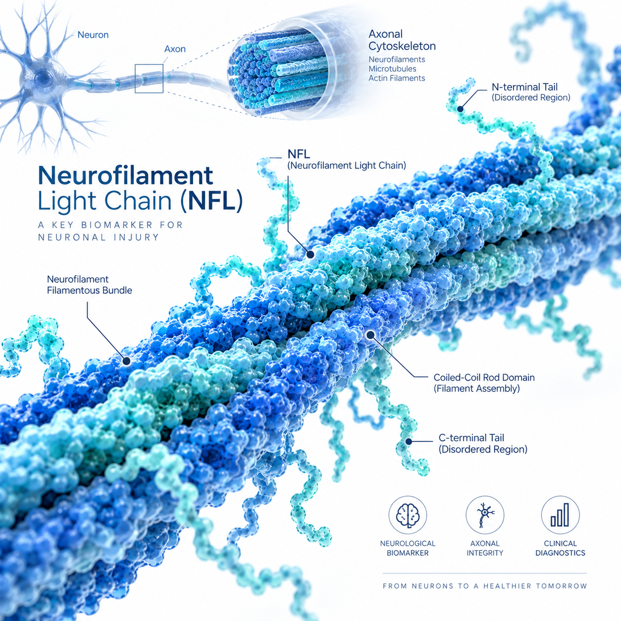 NFL Matched Antibody Pair